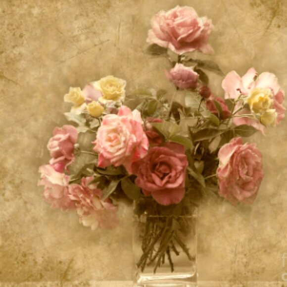 Meet your Posher, Rebecca - Picture 4 of 4